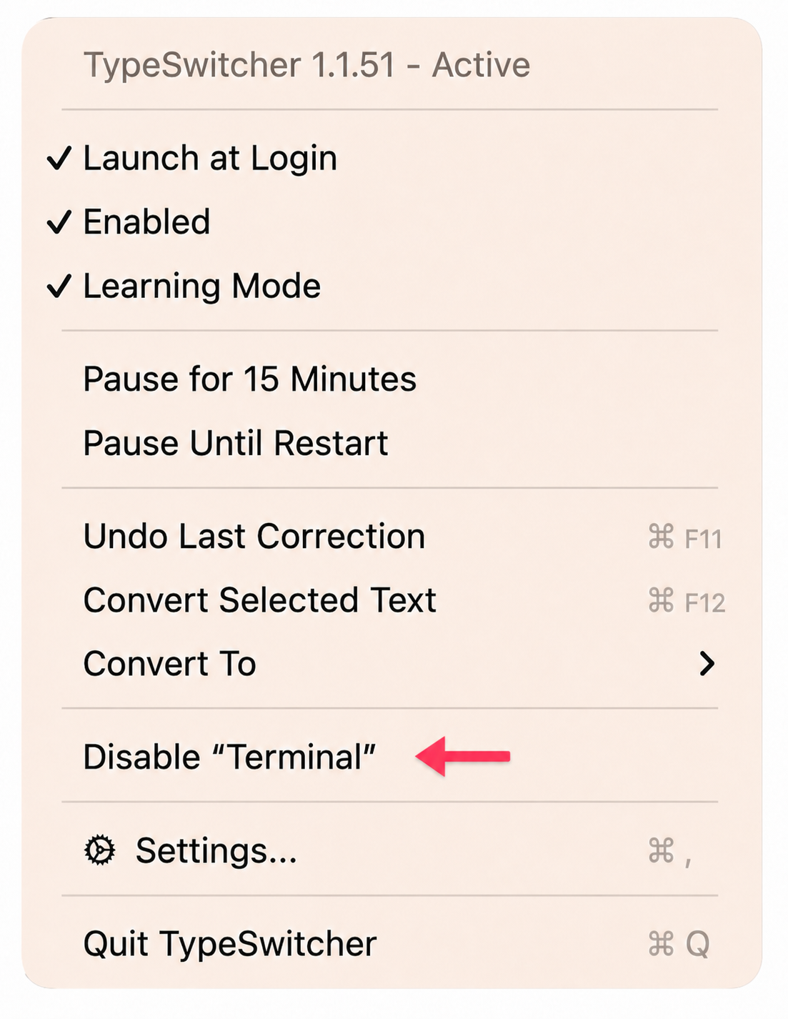 TypeSwitcher menu with a red arrow pointing to the Disable Terminal option